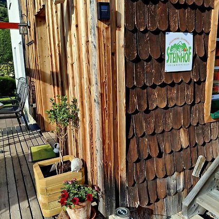 穆劳附近圣洛伦岑Haus Steinhof别墅 外观 照片
