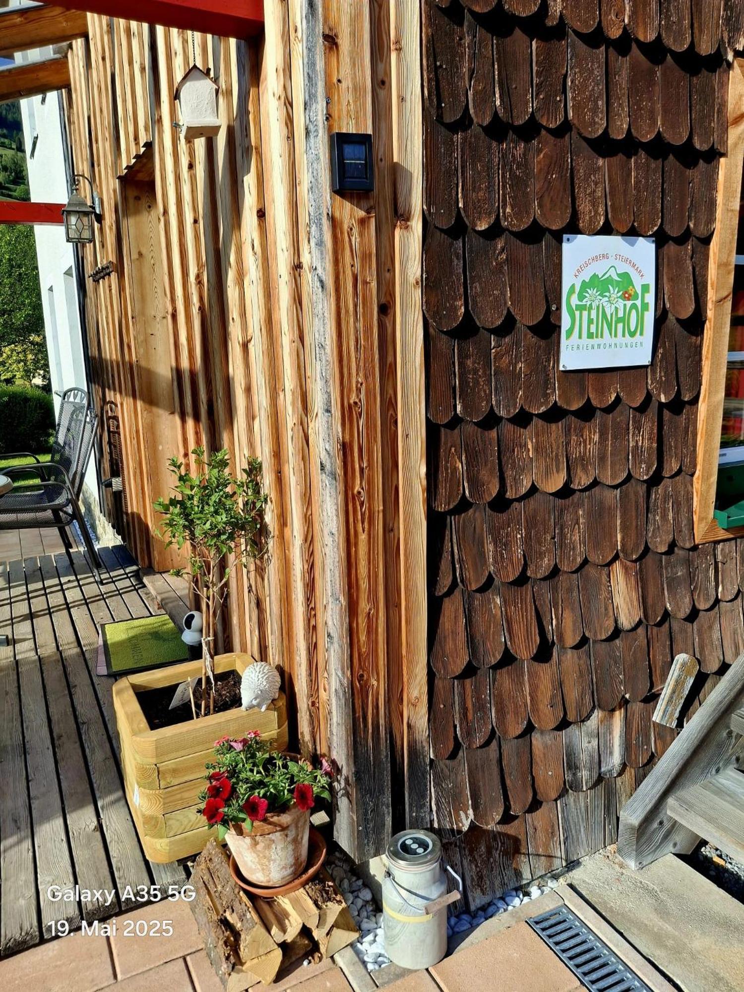 穆劳附近圣洛伦岑Haus Steinhof别墅 外观 照片